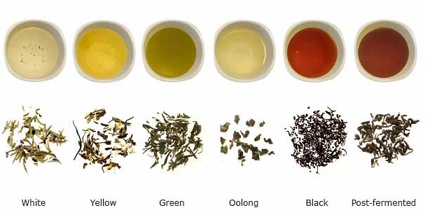 Chás aromáticos e variados Chás especiais